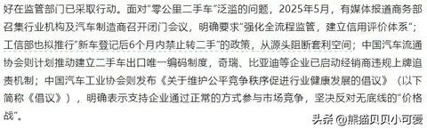 一个舆论乌龙事件，折射出国内新能源车行业当下怎样的微妙境遇？